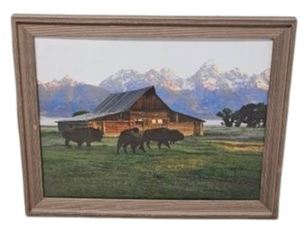 Buffalo At Grand Teton Framed Art Print