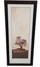 Z Gallerie 'Coast Oak Tree' Framed Art Print Blaustein