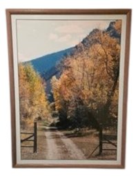 34x25 Framed Nature Photography Scene