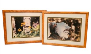 2 Wood Framed Nature Photography Scenes
