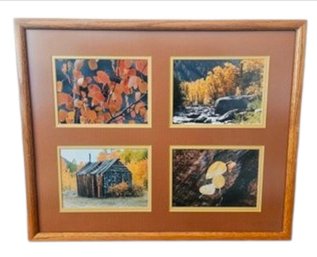 Wood Framed Matted Nature Photography