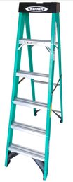 Werner 6 Foot Fiberglass Step Ladder