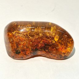 #214 Rare Piece Of Baltic Amber With Insect Inclusion 4.5' - 138.51 Grams