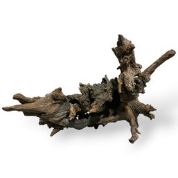 #395 Large Madra Driftwood Piece 31.5' X 17.5'