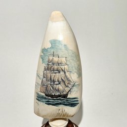 #352 Alaskan Scrimshaw Whale's Tooth With Ship Scene 9' X 3.5'
