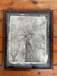 89 Vintage Erik Dahlager Handmade Photographic Gumoil Print Of Forest/Trees