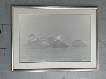 187 Vintage Thomas Mangelsen 1980s 'Winter Mist And Trumpeter Swans' Nature Color Photograph