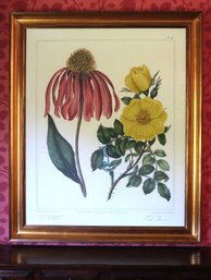 Oversized Framed Edwards Flowers Botanical Giclee Print 47 X 57 Inches