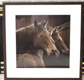 Framed Equestrian Print Wall Art
