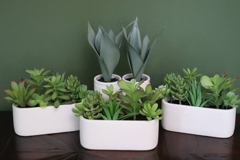 Assortment Of Small Potted Faux Succulents And Snake Plants