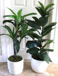 2 Large Potted Faux Dracaena And Rubber Plants