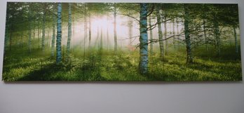 3-Panel Birch Forest Sunlight Wall Art
