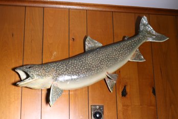 Vintage Lake Trout Taxidermy/ Wall Mount Approx. 32 Inches Long X 16 Inches Tall.