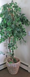 Artificial Ficus Tree In Wicker Pot