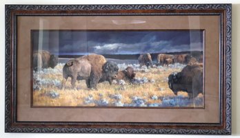 Framed Print By Nancy Glazier Titled Restless Captures Bison In A Grassy Field Under Stormy Skies.