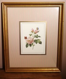Framed Floral Print