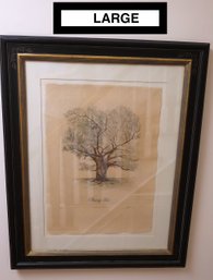 Large High Quality Limited Edition Spring Tree Colored Botanical Engraving By Lyndi Sales