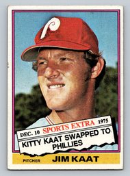 1976 TOPPS Traded Jim Kaat Baseball Card - VG/EX