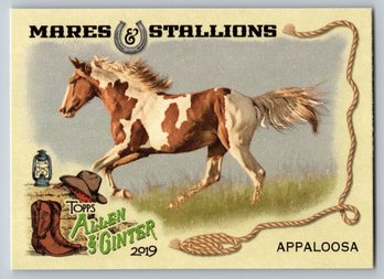 2019 Topps Allen & Ginter Appaloosa Card - Mint