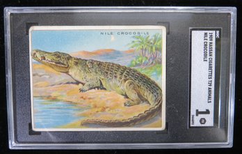 1909 Hassan T29 Animals Tobacco Card Nile Crocodile SGC 1