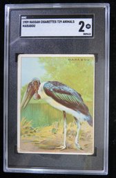 1909 Hassan T29 Animals Tobacco Card Marabou SGC 2