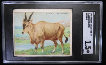 1909 Hassan T29 Animals Tobacco Card Eland SGC 1.5