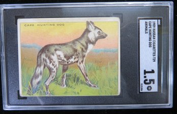 1909 Hassan T29 Animals Tobacco Card Cape Hunting Dog SGC 1.5