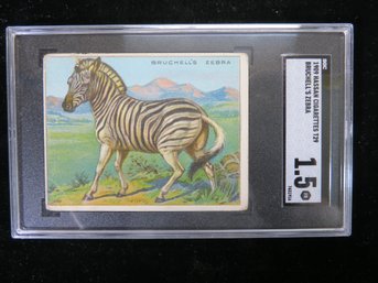 1909 Hassan T29 Animals Tobacco Card Zebra SGC 1.5