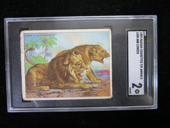 1909 Hassan T29 Animals Tobacco Card Lion SGC 2