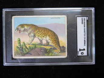 1909 Hassan T29 Animals Tobacco Card Nile Leopard SGC 1