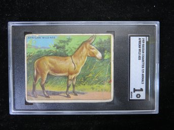 1909 Hassan T29 Animals Tobacco Card African Wild Ass SGC 1