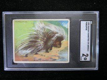 1909 Hassan T29 Animals Tobacco Card Porcupine SGC 2