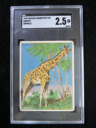 1909 Hassan T29 Animals Tobacco Card Giraffe SGC 2.5