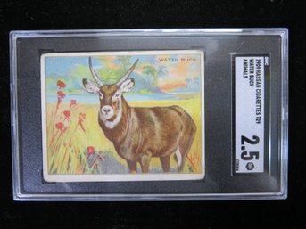 1909 Hassan T29 Animals Tobacco Card Water Buck SGC 2.5