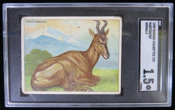 1909 Hassan Animals T29 Hartebeest Tobacco Card - SGC 1.5