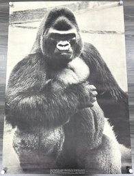 Vintage Gorilla Poster