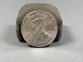 2011 US Silver Eagle Coin