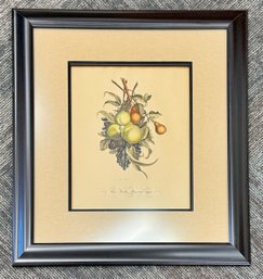 Pears Peaches Plums & Grapes Print - Artist J.L. Prevost