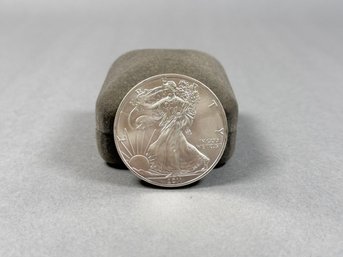 2011 US Silver Eagle Coin