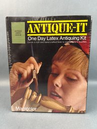 Magicolor Antique It One Day Latex Antiquing Kit No 3