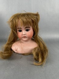 Doll - Head And Shoulders Only With Long Hair Hair