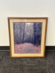 Original Chuck Pefley Forest Trail Framed Photo