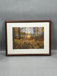 1990 Fall Forest Photo 331/500, Signed, Charles Blyth