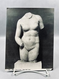 Vintage Authentic Anderson Photographic Print – Torso Di Donna (Museo Delle Terme, Roma)