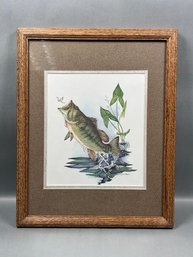 Large Mouth Bass Print, Artist Lynn Bean