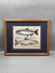 Framed Salmon Print