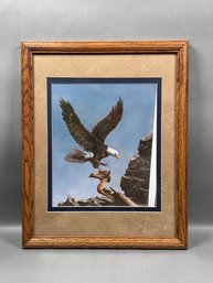 Eagle Taking Flight Framed Print