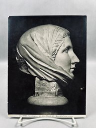 Vintage Authentic Anderson Rome Photographic Print - Greek Maiden Bust (Museo Delle Terme, Rome)