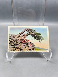 Vintage Postcard Monarch Of The Past, Glacier National Park