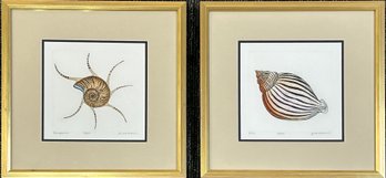 Dan Mitra, Pencil Signed  Seashells Prints